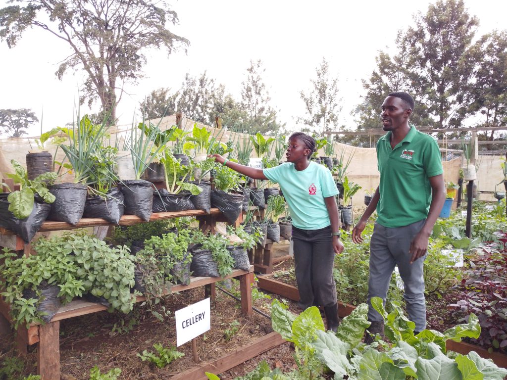 Students convene for the 11th School Farm Camp at Gayaza High School