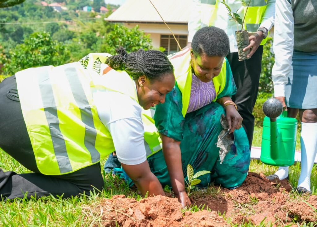 Equity Bank’s My Tree initiative to restore endangered tree species in Mpigi