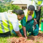 Equity Bank’s My Tree initiative to restore endangered tree species in Mpigi
